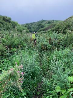 That's the coast path, but it's completely underwater.  Plan B required - head for the beach
